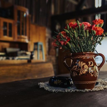 Dumalux Corner Daire Subotica Dış mekan fotoğraf