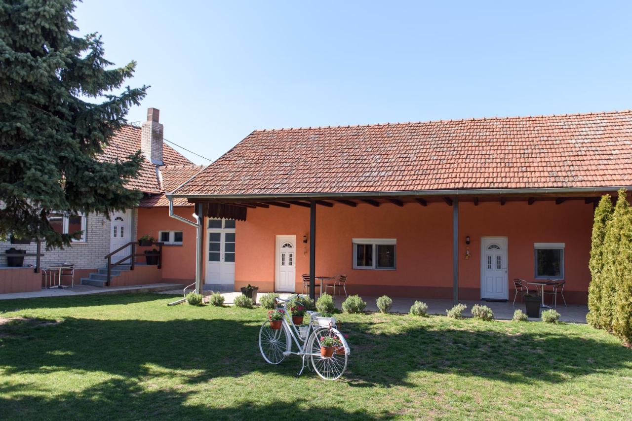 Dumalux Corner Daire Subotica Dış mekan fotoğraf