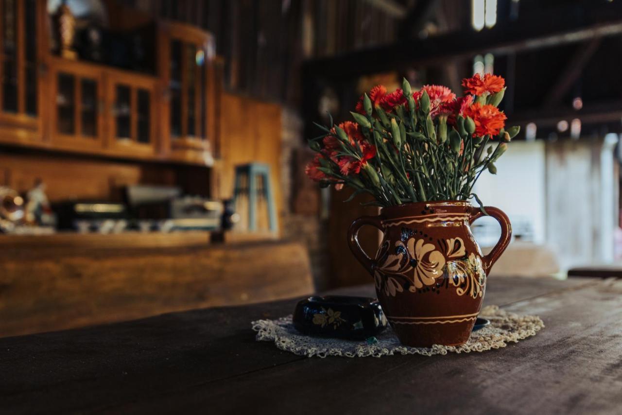 Dumalux Corner Daire Subotica Dış mekan fotoğraf