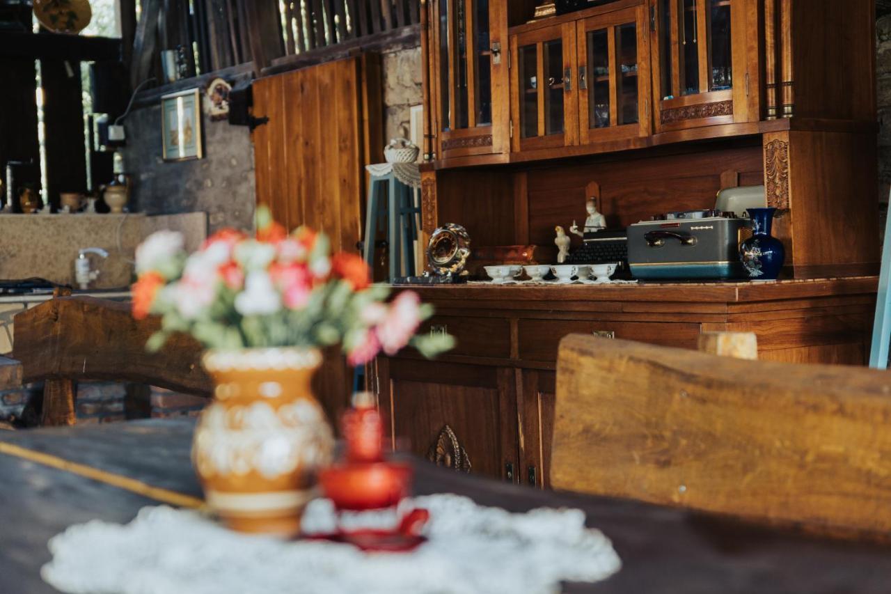 Dumalux Corner Daire Subotica Dış mekan fotoğraf